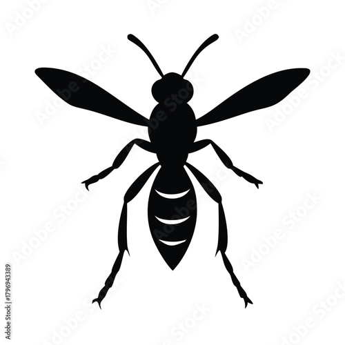 A silhouette of a mosquito with its wings and legs extended out