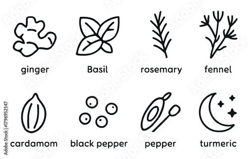 Collection of hand drawn line art icons representing various herbs and spices used in cooking and seasoning