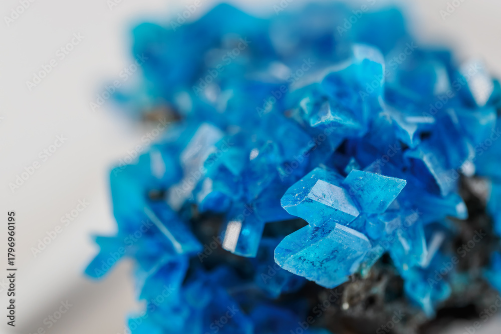 Tableau sur toile Beautiful blue crystals of vitriol in detail on a druse.