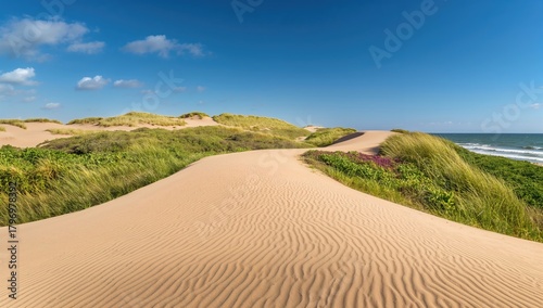 Fototapeta Naklejka Na Ścianę i Meble -  Sand dunes at a beach during summer, outdoor landscape with grass and plants, erosion risk