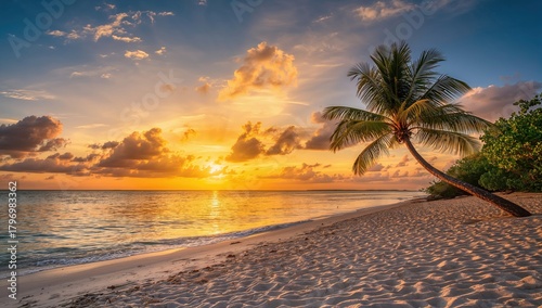 Fototapeta Naklejka Na Ścianę i Meble -  Island palm tree by the sea on sandy beach, serene tropical getaway, summer relaxation