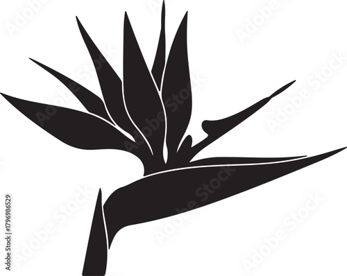 Black silhouette of a Bird of Paradise flower on white background tropical exotic