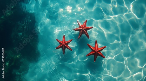 Bright Red Starfish Swim Gracefully in Clear Blue Water on a Sunny Day