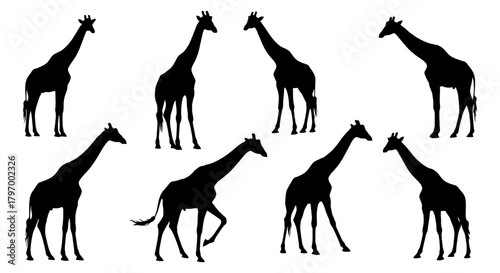 Collection of graceful giraffe silhouettes depicting various stances and movements, perfect for diverse design applications and educational resources