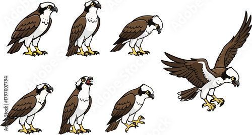 vector illustration of osprey bird funny cute cartoon mascot character cartoon with 7 poses
