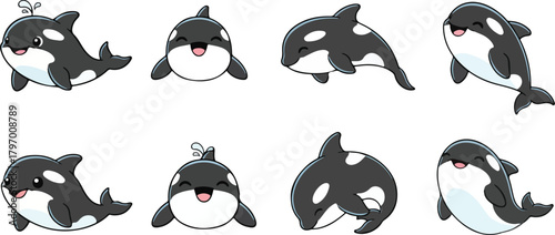 vector illustration of orca funny cute cartoon mascot character cartoon with 8 poses
