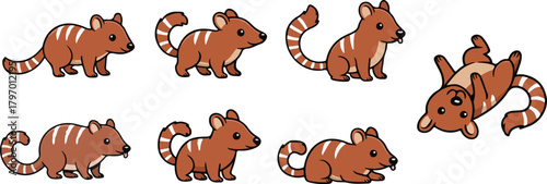 vector illustration of numbat funny cute cartoon mascot character cartoon with 7 poses 