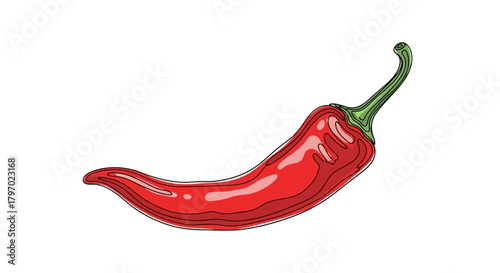 Vector illustration of a single red chili pepper