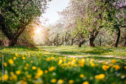 Spring blooms awaken in a vibrant orchard a serene nature's beauty on a sunny day.
