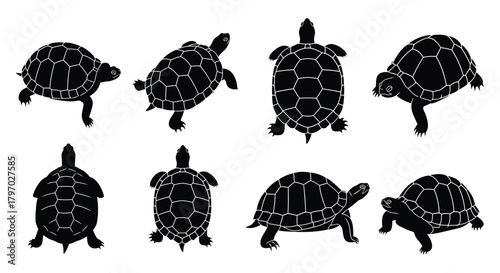 Collection of turtle silhouettes in various poses, showcasing their unique shapes