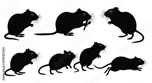 Silhouette of a group of gerbils in various poses, creating a dynamic composition