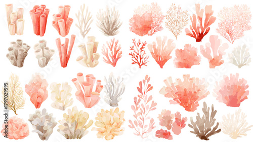 Watercolor coral and reef elements in pink, peach, and sand tones—ideal for ocean themes, coastal decor, wedding stationery, crafts, and tropical patterns.
