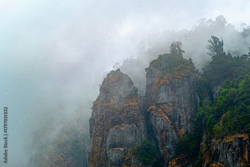 Fototapeta premium Pillar rocks in fog at Kodaikanal, Kerala, India
