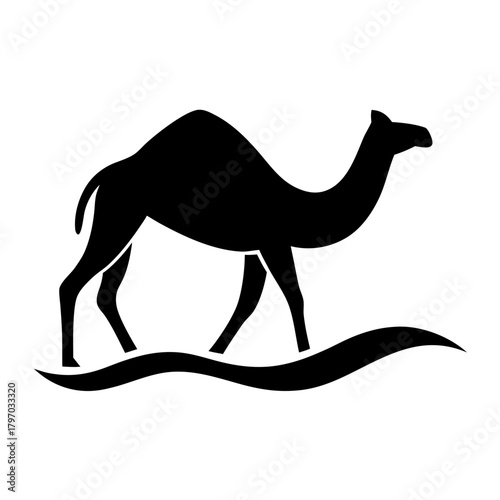 camel in desert