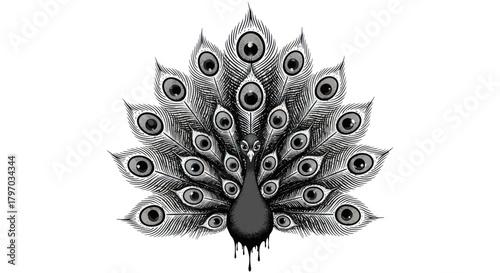 Adobe Illustrator Artwork