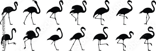 Elegant flamingo silhouettes, black bird poses, tropical wildlife art, graceful avian shapes, minimalist animal design, exotic nature illustration, decorative flamingo collection, vector set**