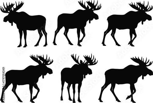 Moose Elk Silhouettes Vector Set, Large Deer Animal Forest Wildlife Collection, Big Antlers Mammal Black Shapes Isolated Nature