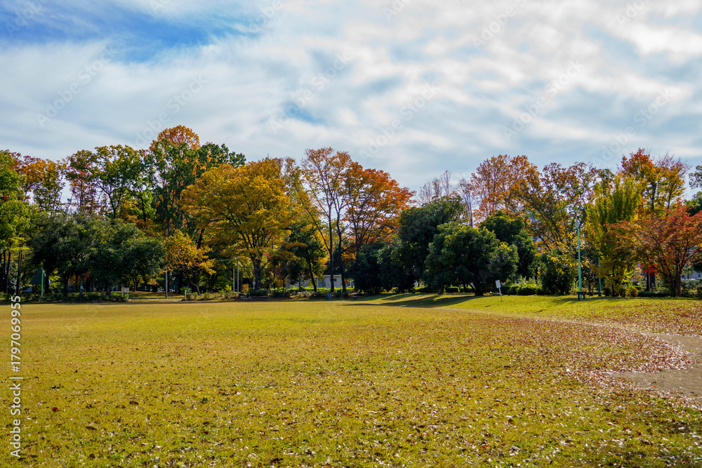 Naklejka premium 紅葉した秋の公園