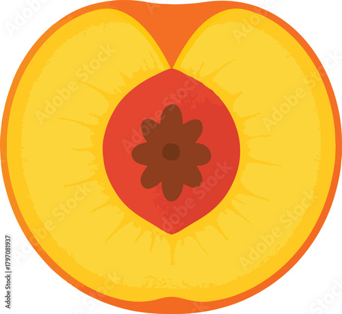 Halved peach with pit and textured flesh fruit