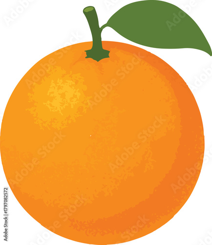 Orange fruit with green leaf and stem citrus food