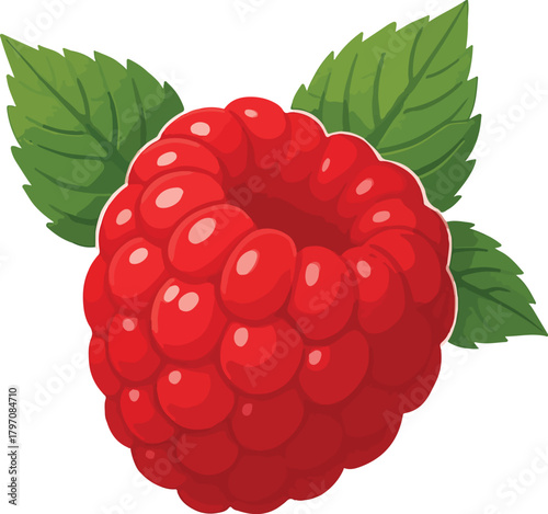 Red raspberry with green leaves illustration fruit
