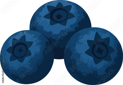 Three Blueberries with Star Shape Detail blueberry