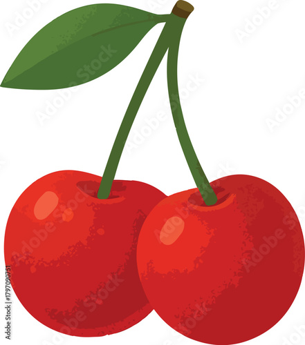 Two ripe red cherries with green stem and leaf cherry