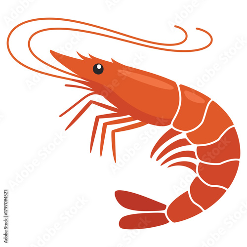 shrimp on a white background