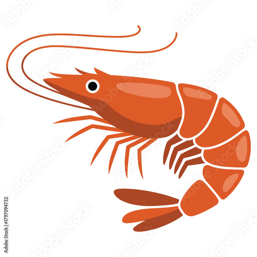 shrimp on white background