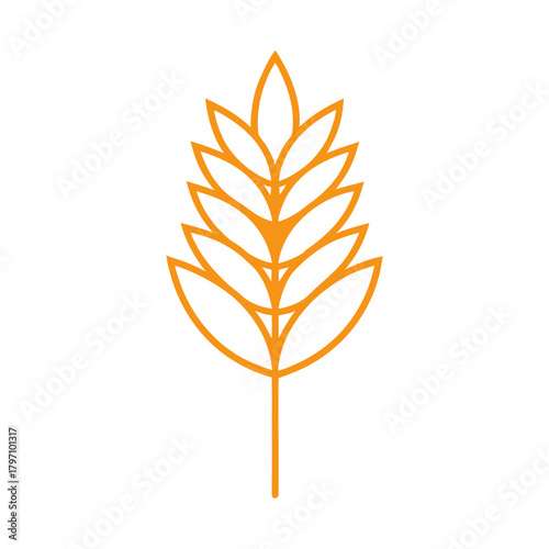 set of autumn leaves