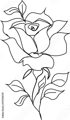 Hand drawn rose. Sketch rose flowers with thorns and leaves. Black and white vintage etching vector botanical isolated set. Illustration of rose petal, sketch botany floral plant