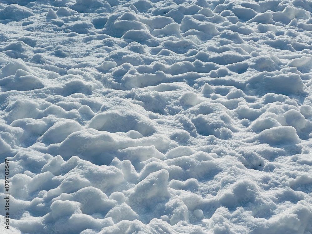 Obraz premium snow on the ground