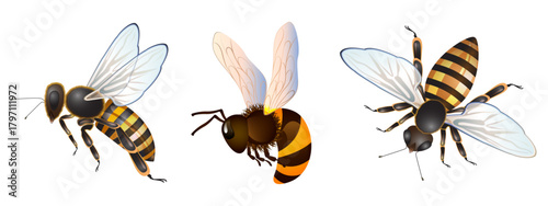 Bee vector illustration. Bee flying icon set. honey bee editable stroke.