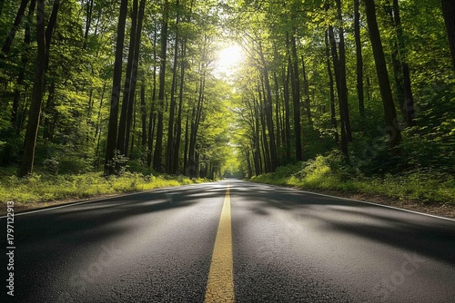 Empty asphalt road winding through a lush green forest canopy on a sunny day, inviting travelers to enjoy a scenic drive immersed in nature's beauty and tranquility