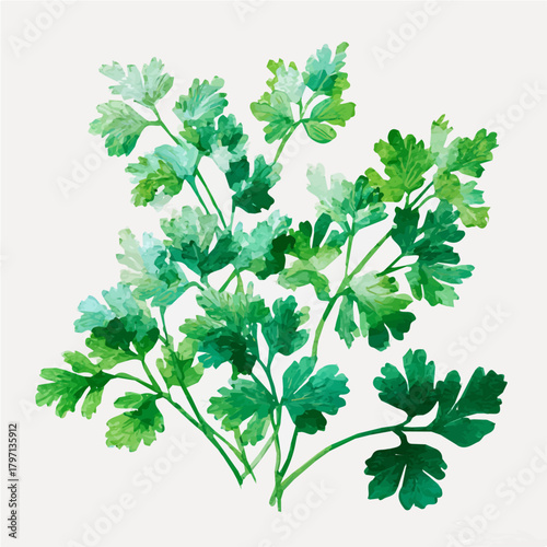 A Watercolor_style_painting_of_chopped_parsley_in_tiny_leaves, Watercolor_simple_design_EPS_format_set