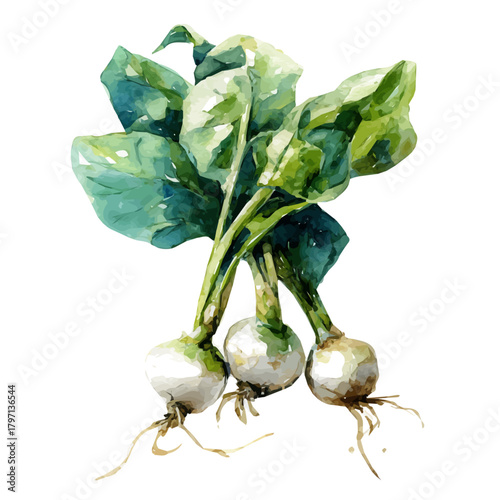 A Watercolor_style_painting_of_cut_ramps_with_leafy_tops, simple eps format illustration, Watercolor_style