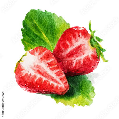 A Watercolor_style_painting_of_halved_strawberries_with_leaf,  simple illustration with EPS format design