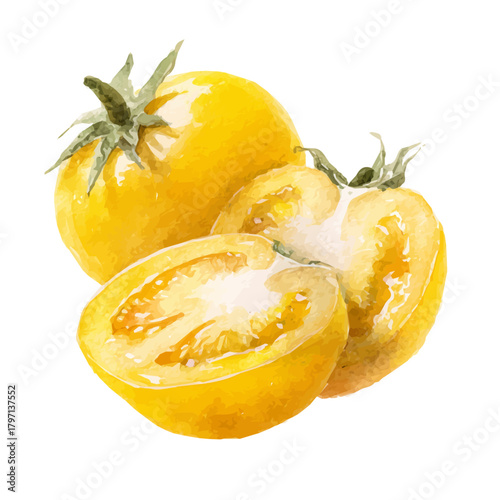 A Watercolor_style_painting_of_halved_tomato_in_yellow_color_  simple illustration with EPS format design