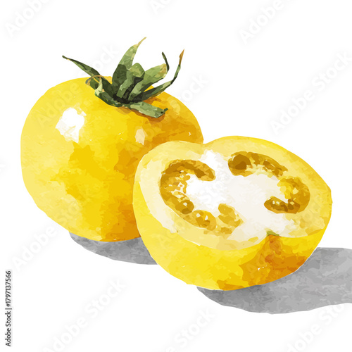 A Watercolor_style_painting_of_halved_tomato_in_yellow_color, simple eps format illustration