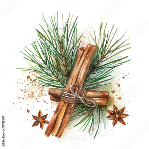 A Watercolor_style_painting_of_pine_sprig_and_cinnamon_anise_star, simple eps format illustration