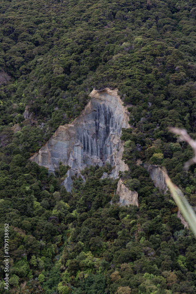 Naklejka premium Aerial view of big rock formation covered by trees.