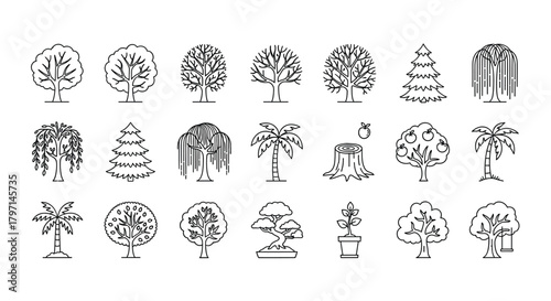 A diverse collection of tree illustrations, showcasing various species and forms, from deciduous to coniferous, in a simple line art style