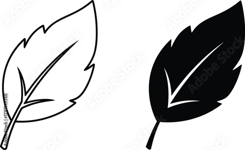 Contrasting leaf outlines present diverse nature concepts on a clean transparent background