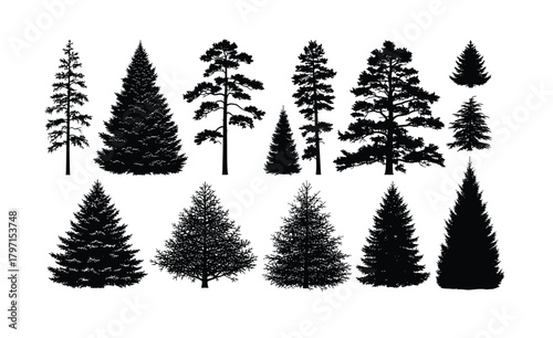 Collection of diverse pine and fir trees in a black and white silhouette style
