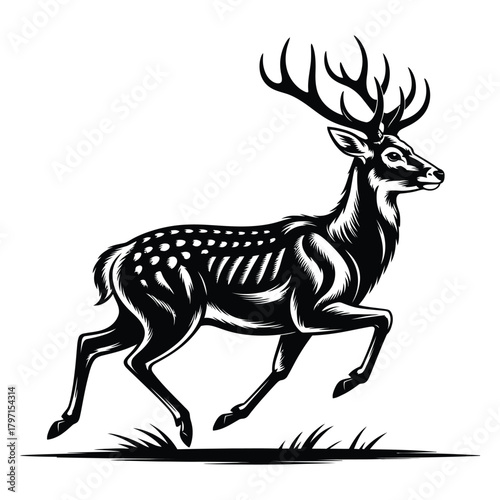 deer silhouette vector