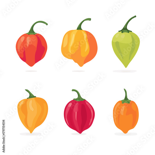 Beautiful Simple flat 2D illustration of habanero isolated on a white background, vector icon set, simple design in a flat design, 2D illustration, EPS format design