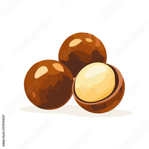 Very Simple flat 2D illustration of macadamias slices isolated on a white background, vector icon set, simple design in a flat design, 2D illustration, EPS format design