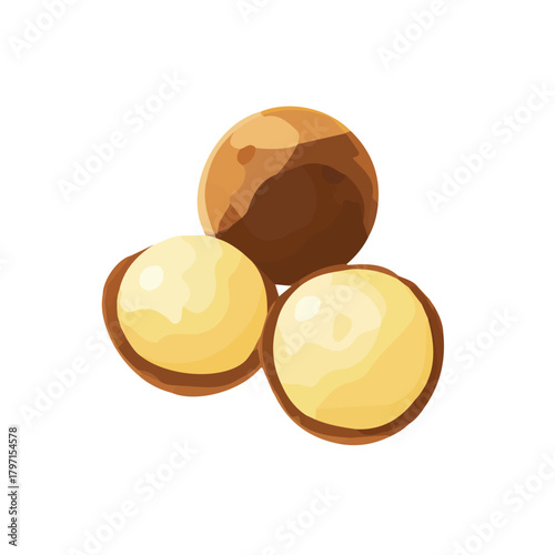 Cute Simple flat 2D illustration of white macadamias isolated on a white background, vector icon set, simple design in a flat design, EPS format design