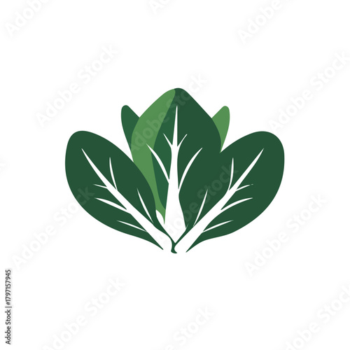 A clean, minimal flat vector of bok choy bunch, designed in a modern 2D style on a white background. Minimalistic 2D flat icon, EPS format