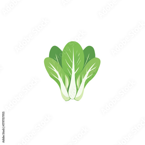 A clean, minimal flat vector of bok choy bunch, designed in a modern 2D style on a white background. Minimalistic 2D flat icon, EPS format, simple design